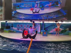 -成都浩海立方海洋公园