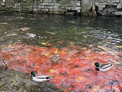 -水磨沟公园