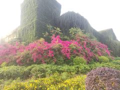 -府河摄影公园