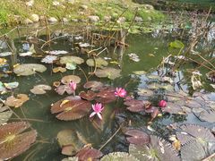 -惠州西湖风景名胜区-丰渚园