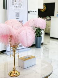 -缤卡妮肌肤管理中心