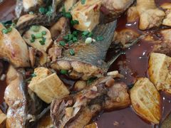 财鱼烧豆腐-一撮毛美食城(全力一路店)