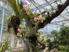 -国家植物园南园