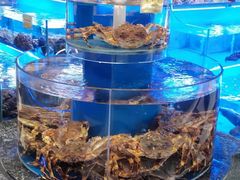 -新海渔港·胶东海鲜家常菜·家宴(奥体中心店)