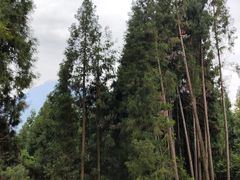 -太阳湾风景区
