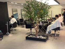 点击看大图 -付军剪艺JF ProSalon