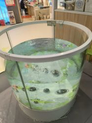 -鳄鱼泡泡游泳馆(新DNA购物中心店)