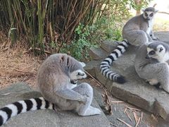 -宁波野生动物园