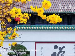 -光孝寺