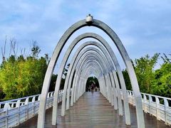 -大兴滨河森林公园