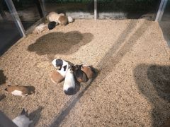 -常州海昌海洋探索馆