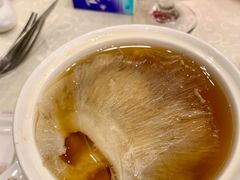 原盅花胶鸡炖翅-金翠皇宫粤菜·点心·海鲜(科技园店)