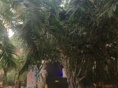 -龙达温泉生态城