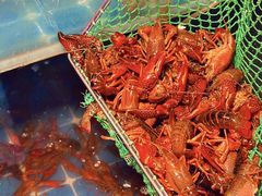 -二钳洞庭虾蟹·江湖菜(鹭岛店)