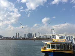 -台场海滨公园船码头