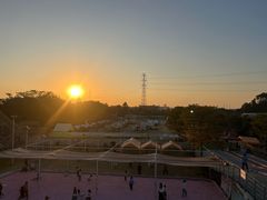 -长洲岛都市农业公园