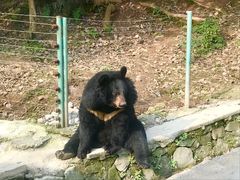 -乐和乐都主题乐园