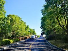 -上海崇明金茂凯悦酒店