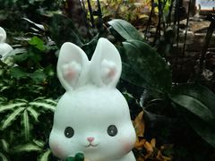 -北京植物园-展览温室