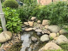-活水公园