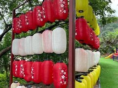 -桃源山庄·水蜜桃采摘·柴火鸡·烧烤团建(龙泉山店)