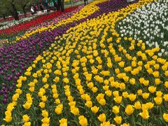 -长春公园(普阳街道)