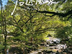 -广州市石门国家森林公园