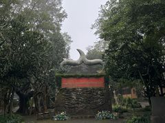 -海口火山口国家地质公园