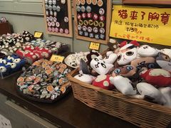 -猫咪博物馆(顶澳仔猫街店)