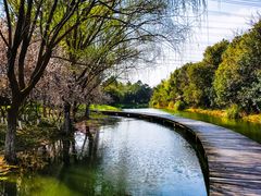 -昆山城市生态森林公园