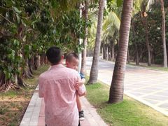 亚龙湾红树林度假酒店-三亚亚龙湾红树林度假酒店