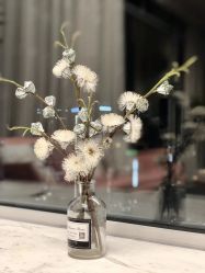 -汐月Health纤体spa中心