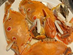-曼格活海鲜·牛排自助(光明蓝鲸店)