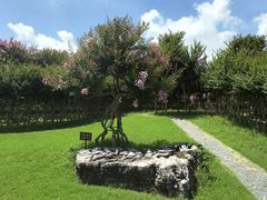 -南通洲际绿博园