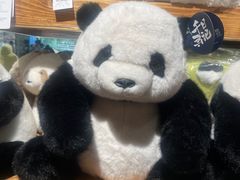 -番茄口袋(上海普陀区环球港店)