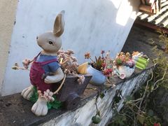 -浔岚云舍mist静谧观景美宿(丽江古城店)