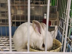 -雨林宠物医院 非犬猫异宠专科