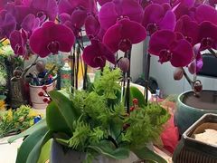 -亭亭鲜花店(中山北路店)