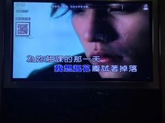 -唱吧麦颂KTV(方庄店)