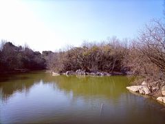 -上海吴淞炮台湾国家湿地公园