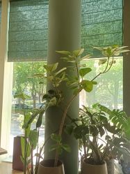 -娇玫荟SPA