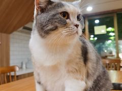 -藦茜花园宠物主题亲子互动体验馆(国顺东路店)