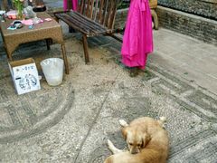 -浔岚云舍mist静谧观景美宿(丽江古城店)