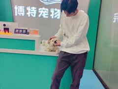 -博特宠物医院24h犬猫全科.骨科·异宠