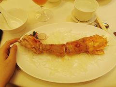 -利苑酒家(合景国际金融广场店)