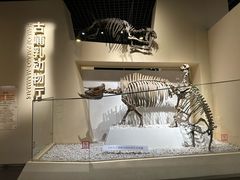 -国家自然博物馆