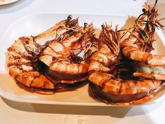 -茉莉.Red Crab