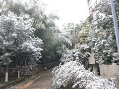 -苏州城市学院