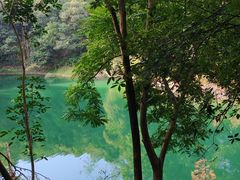 -广州市流溪河国家森林公园