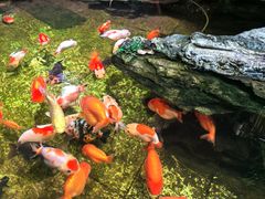 -佛有缘·32年老字号(广州首店)
